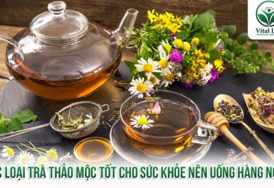 Các Loại Trà Thảo Mộc Tốt Cho Sức Khỏe Nên Uống Hàng Ngày