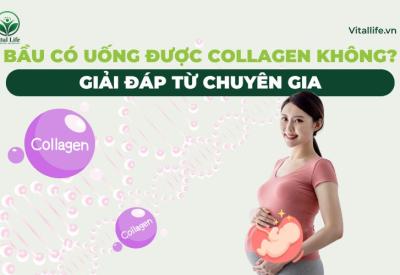 Bầu Có Uống Được Collagen Không? Giải Đáp Từ Chuyên Gia