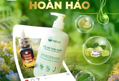 TINH DẦU NHÀU & DẦU GỘI THẢO DƯỢC Vital Life - BỘ ĐÔI HOÀN HẢO CHO MÁI TÓC CHẮC KHOẺ ! 