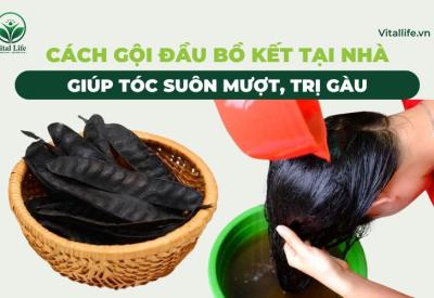 Cách Gội Đầu Bồ Kết Tại Nhà giúp tóc Suôn mượt, trị Gàu