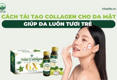 Cách Tái Tạo Collagen Cho Da Mặt giúp da luôn Tươi Trẻ