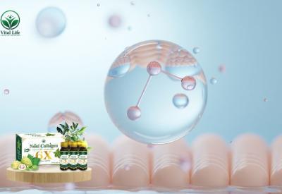 Collagen là gì? Công dụng, tác hại & cách bổ sung hiệu quả nhất