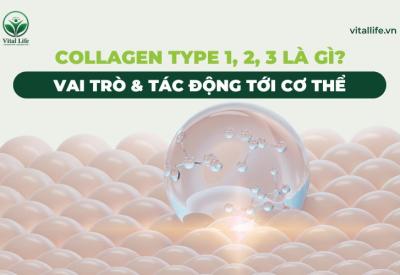 Collagen Type 1, 2, 3 Là Gì?  Vai Trò & Tác Động Tới Cơ Thể