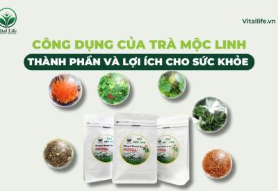 Công dụng của Trà Mộc Linh: Thành phần và lợi ích cho sức khỏe