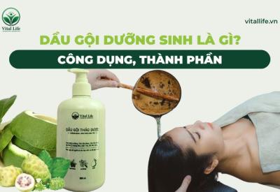 Dầu Gội Dưỡng Sinh Là Gì? Công Dụng, Thành Phần