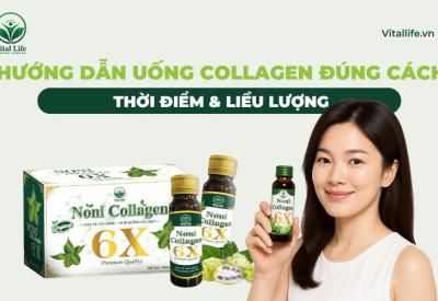 Hướng Dẫn Uống Collagen Đúng Cách: Thời Điểm & Liều Lượng