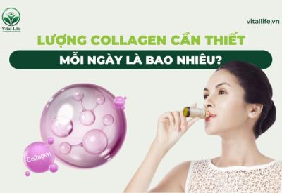 Lượng Collagen cần thiết Mỗi Ngày là bao nhiêu? 