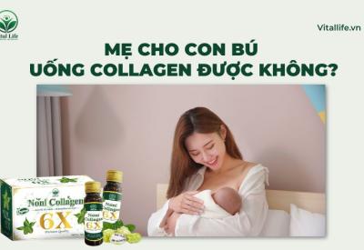 Mẹ Cho Con Bú Uống Collagen Được Không? 