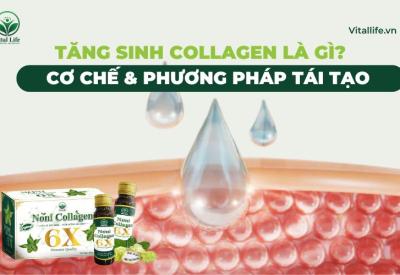 Tăng Sinh Collagen Là Gì? Cơ Chế & Phương Pháp Tái Tạo