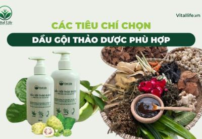 Tiêu chí chọn dầu gội thảo dược phù hợp 