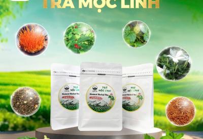 Trà Mộc Linh: Công Dụng, Thành Phần và Cách Dùng