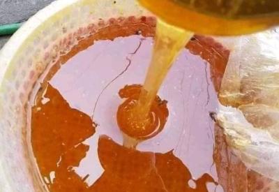 Mua Mật Ong Khoái Rừng Sơn La (Tây Bắc) Ở Đâu Uy Tín? 