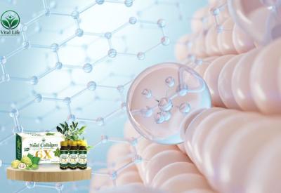  Uống Collagen Có Tác Dụng Gì Cho Da? Lợi Ích và Cơ Chế 