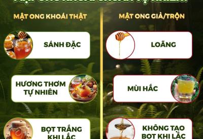 Cách Nhận Biết Mật Ong Khoái Thật Giả đơn giản tại Nhà