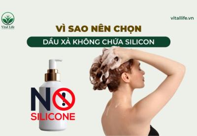 Vì sao nên Chọn Dầu Xả Không Chứa Silicon Để Bảo Vệ Mái Tóc?