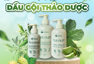 Lợi ích dầu gội đầu từ trái nhàu – Bí quyết cho mái tóc ống mềm và khỏe mạnh