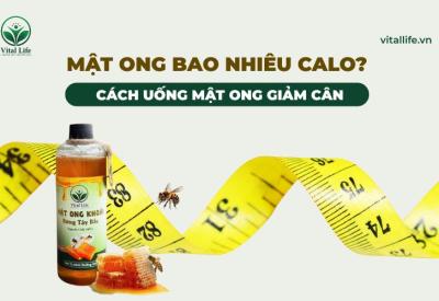Mật ong bao nhiêu calo? Cách Uống Mật Ong Giảm Cân