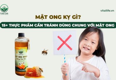 Mật Ong Kỵ Gì? 15+ Thực Phẩm Cần Tránh dùng chung với Mật Ong