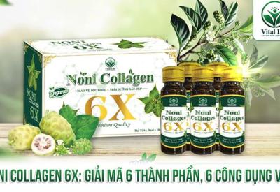 Noni Collagen 6X: Giải Mã 6 Thành Phần, 6 Công Dụng Vàng