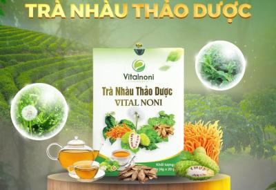 Trà Nhàu Thảo Dược Vital Noni: Công Dụng, Thành Phần, Cách Dùng