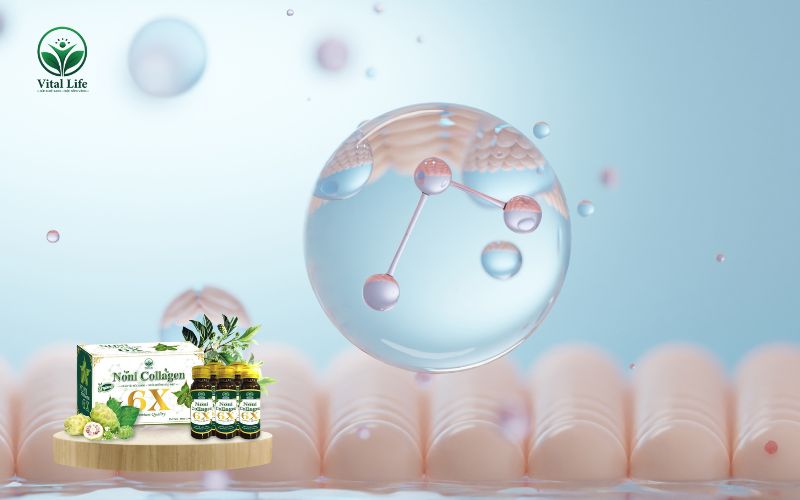 Collagen là gì? 