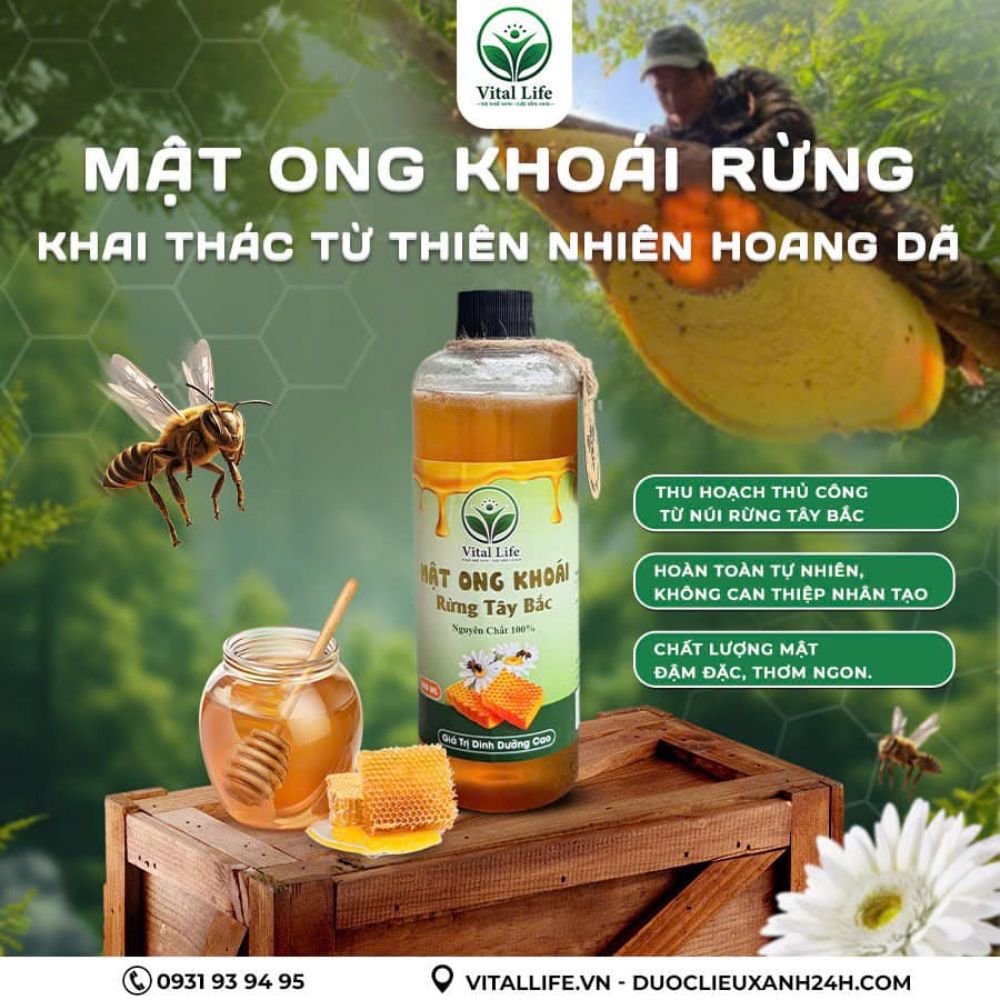 Mua mật ong Khoái rừng Sơn La ở đâu uy tín?