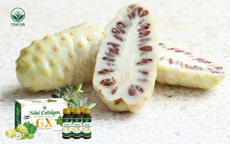 Thành phần tinh chất Nhàu trong Noni Collagen 6X