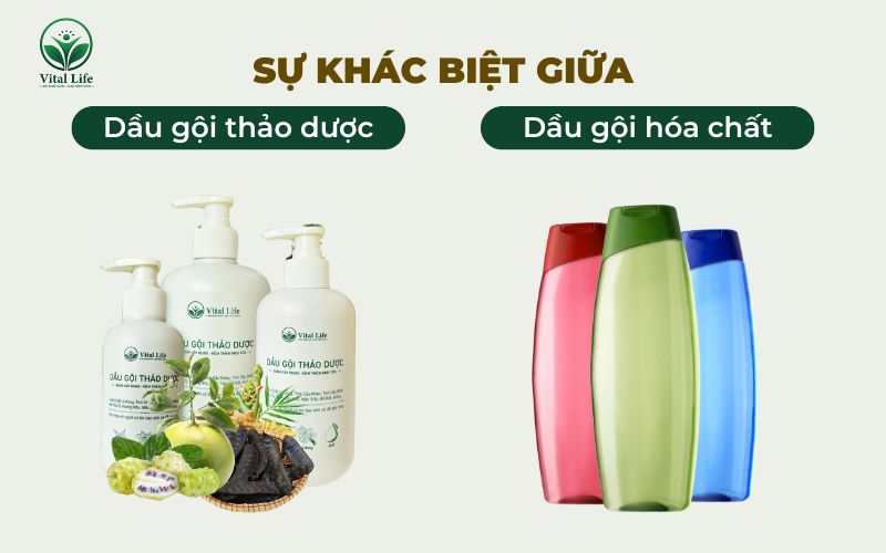 Dầu gội thảo dược và Dầu gội hóa chất khác nhau như thế nào?