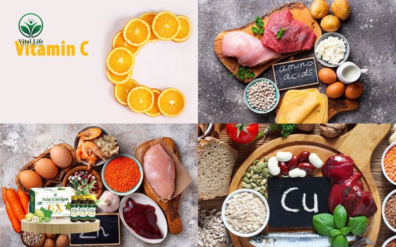 Các Nhóm Thực Phẩm Kích Thích Cơ Thể Tăng Cường Tổng Hợp Collagen Nội Sinh