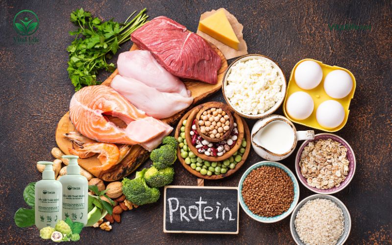 Thực phẩm giàu protein tốt cho tóc