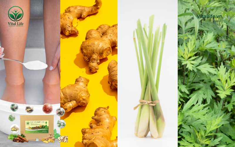 Các bài thuốc ngâm chân từ dược liệu giúp an thần, ngủ ngon giấc