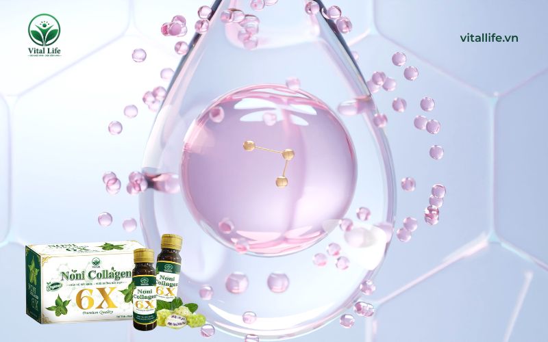 Collagen type 1 chiếm tỷ lệ tới 90% tổng lượng collagen trong cơ thể