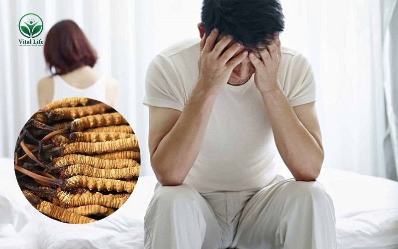 Đông trùng hạ thảo là thảo dược có công dụng trong cải thiện sinh lý nam giới
