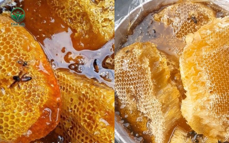 Mật ong Khoái sau khi thu hoạch
