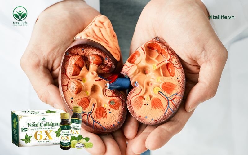 Người có bệnh thận mãn tính hoặc chức năng thận suy giảm
