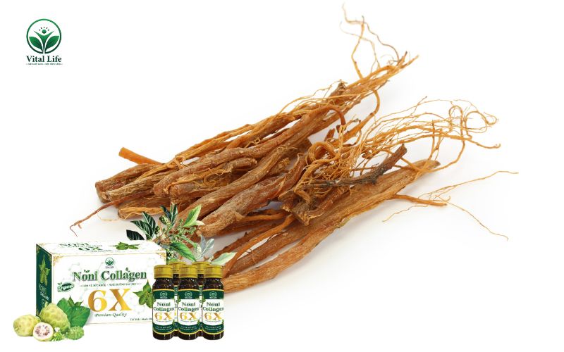 Hồng Sâm là một thành phần quan trọng có trong Noni Collagen 6X