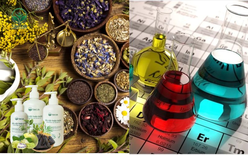Sự khác biệt trong thành phần của Dầu gội thảo dược và Dầu gội hóa chất