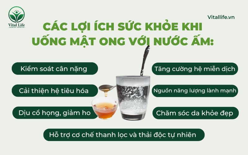 Các lợi ích sức khỏe khi uống mật ong với nước ấm thường xuyên