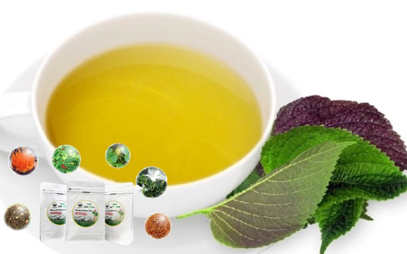 Trà Tía Tô chống viêm, giải cảm
