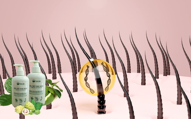 Bảo Vệ Tóc Khỏi Các Tác Nhân Gây Hại Từ Bên Ngoài