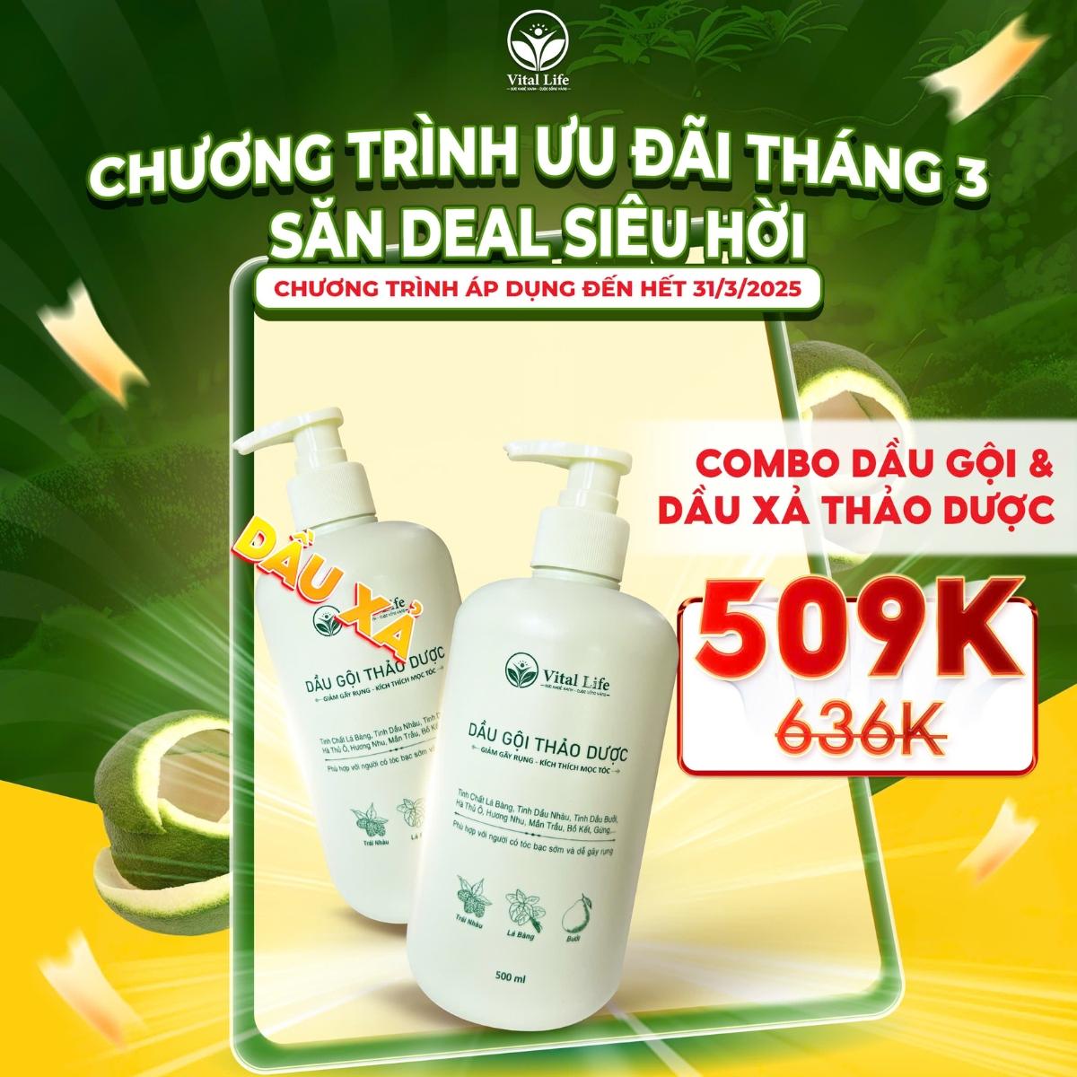 Combo Dầu gội và dầu xả thảo dược không chứa Silocon của Vital Life