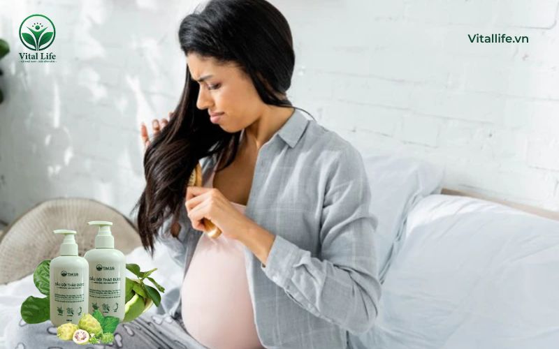 Hướng dẫn mẹ bầu lựa chọn và sử dụng dầu gội hữu cơ