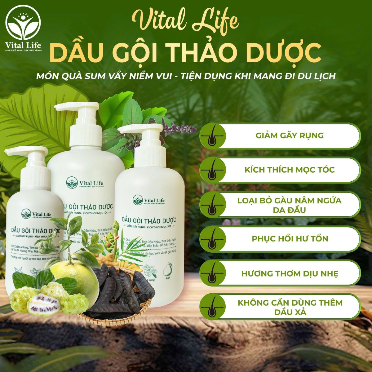 Dầu Gội Thảo Dược VitalLife: Giải Pháp Toàn Diện Cho Mái Tóc Khỏe Đẹp Từ Thiên Nhiên