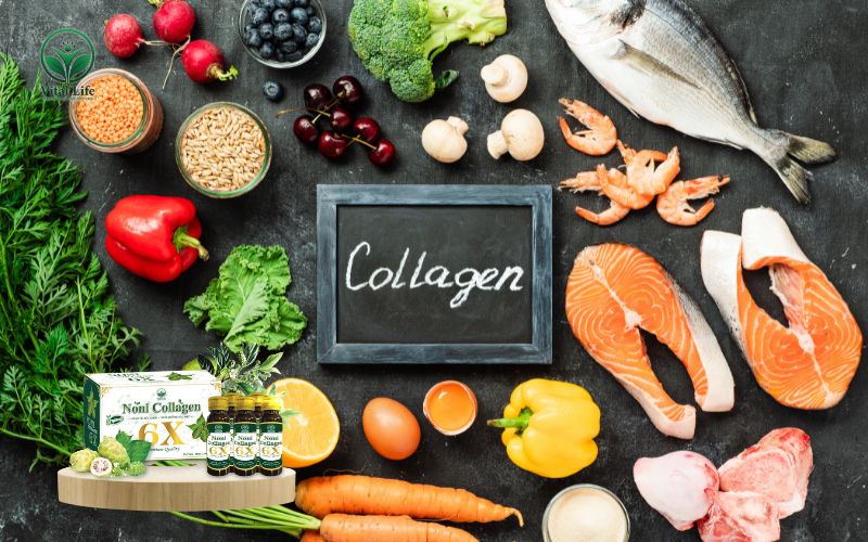 Bổ sung các loại thực giàu Collagen là cách bổ sung collagen hiệu quả