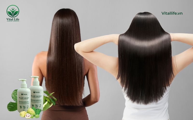 Bí quyết chăm sóc tóc khỏe đẹp bền vững từ bên trong