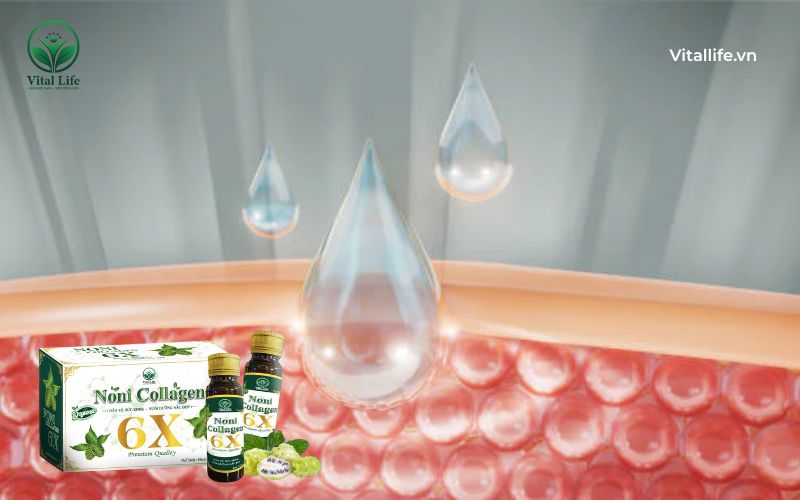 Tăng sinh collagen là gì 