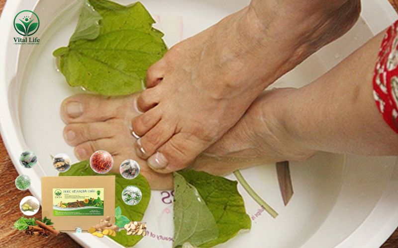 Ngâm chân với lá lốt hỗ trợ các vấn đề về xương khớp