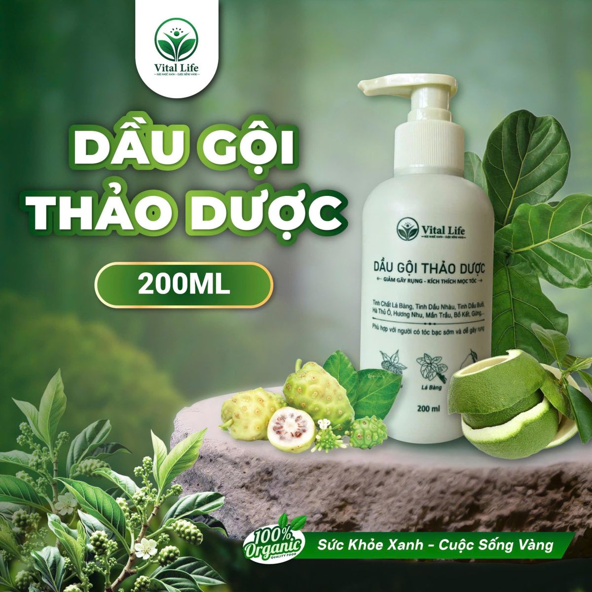 Dầu gội thảo dược Vital Life: Giải pháp tiện lợi kế thừa tinh hoa thảo dược Việt