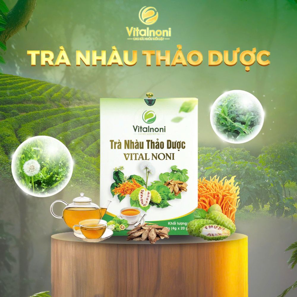 Công Dụng Vượt Trội Của Trà Nhàu Thảo Dược Túi Lọc Vital Noni